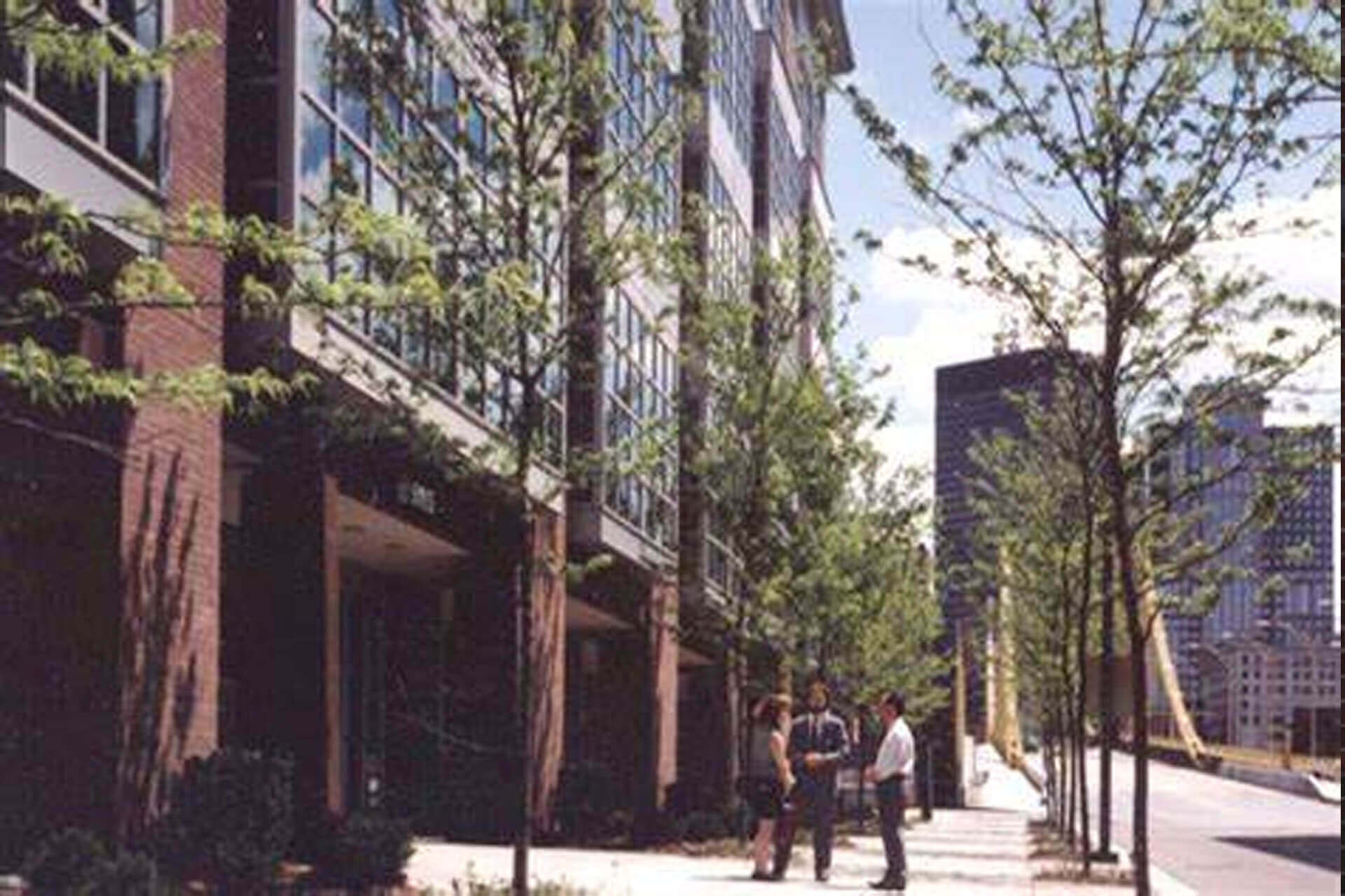 People walking on a sunny city sidewalk with trees and buildings.